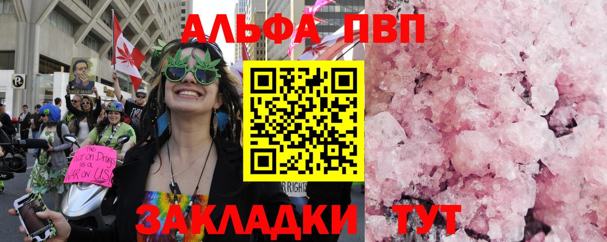 Alfa_PVP СК Владикавказ