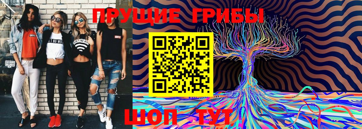 Владикавказ  Галлюциногенные грибы Psilocybe  Псилоцибиновые грибы мицелий  закладка  Вход с VPN 